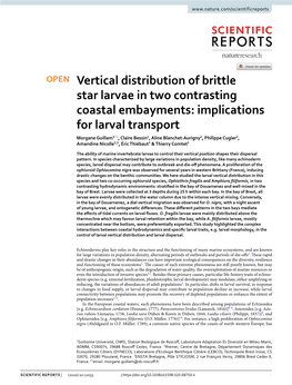 Vertical Distribution of Brittle Star Larvae in Two Contrasting Coastal