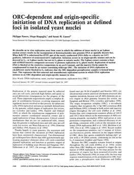 ORC-Dependent and Origin-Specific Initiation of DNA Replication at Defined Foci in Isolated Yeast Nuclei