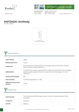 HIST2H2AC Antibody Cat