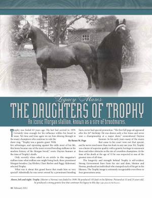 Daughters of Trophy Who Continue 113 Foals During the Second Half of His More Than 30 Year Life Span, His Strong Dam Line Right up to 2012