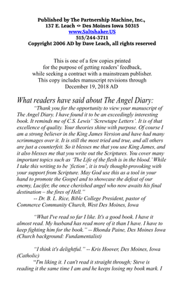 What Readers Have Said About the Angel Diary: “Thank You for the Opportunity to View Your Manuscript of the Angel Diary
