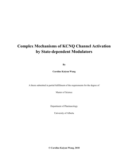 Complex Mechanisms of KCNQ Channel Activation by State-Dependent Modulators