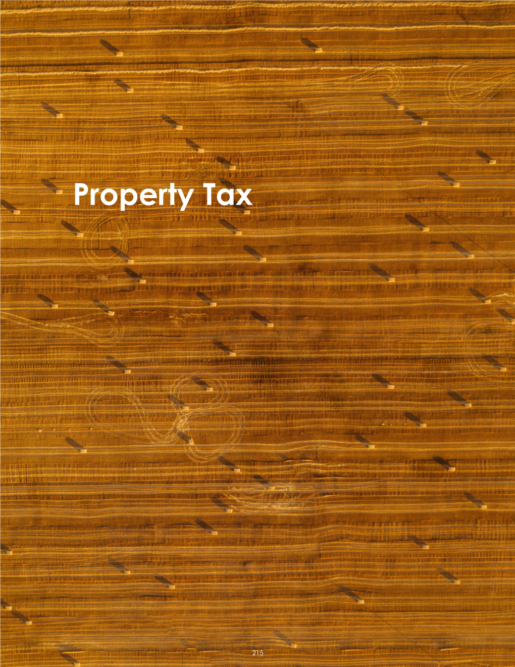 Property Taxes Paid by Class