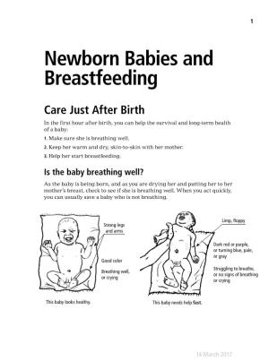 Newborn Babies and Breastfeeding