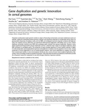 Gene Duplication and Genetic Innovation in Cereal Genomes