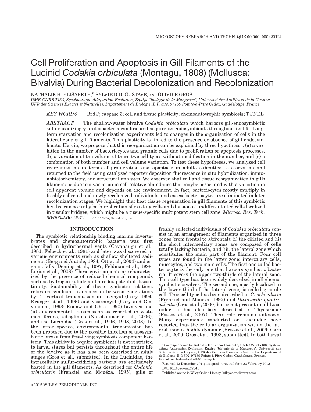 Cell Proliferation and Apoptosis in Gill Filaments of the Lucinid Codakia