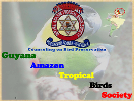Guyana Amazon Tropical Birds Society 1 GATBS Institution