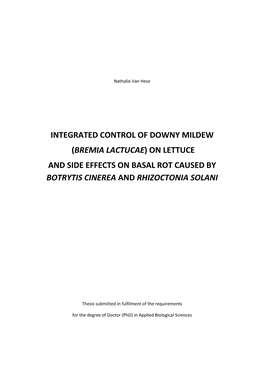 Bremia Lactucae) on Lettuce and Side Effects on Basal Rot Caused by Botrytis Cinerea and Rhizoctonia Solani