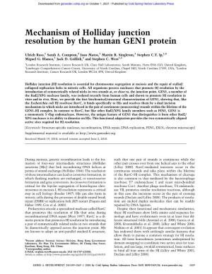 Mechanism of Holliday Junction Resolution by the Human GEN1 Protein