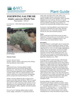 Plant Guide for Fourwing Saltbush (Atriplex Canescens)