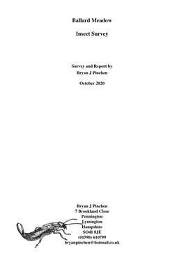 Insect Survey Ballard Water Meadow 2020