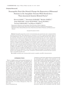 Neuropathic Pain-Like Stimuli Change the Expression of Ribosomal Proteins in the Amygdala: Genome-Wide Search for a “Pain-Associated Anxiety-Related Factor”