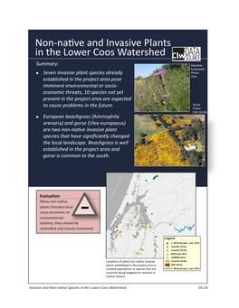 Non-Native and Invasive Plants in the Lower Coos Watershed
