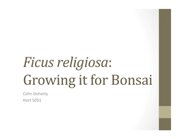 Ficus Religiosa: Growing It for Bonsai Colin Doherty Hort 5051 Bonsai: the Art