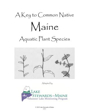 A Key to Common Maine Aquatic Plant Species