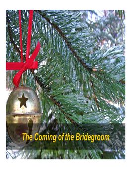 The Coming of the Bridegroom the Coming of the Bridegroom