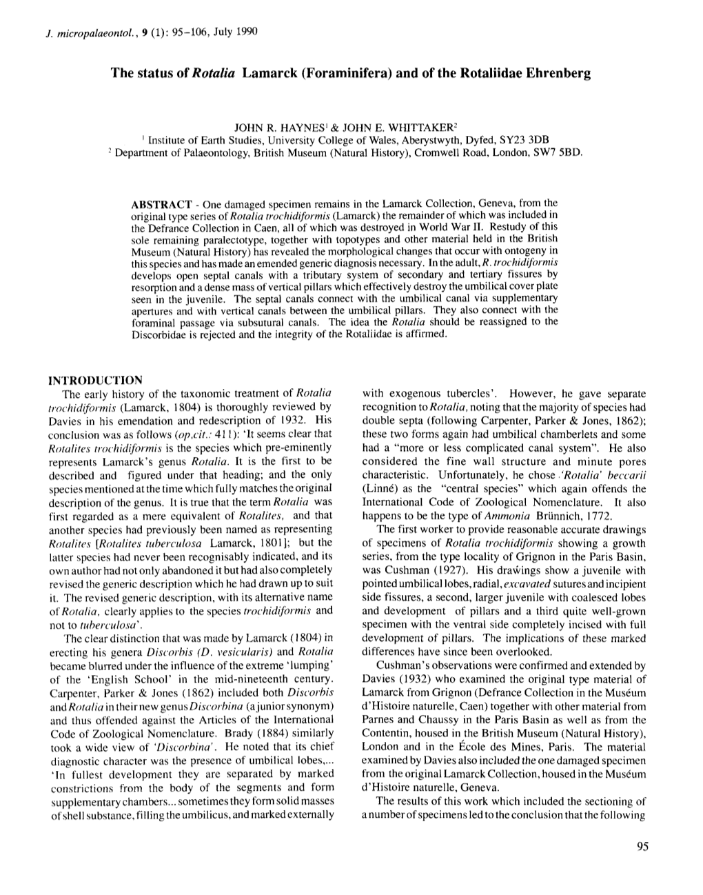 The Status of Rotalia Lamarck (Foraminifera) and of the Rotaliidae Ehrenberg