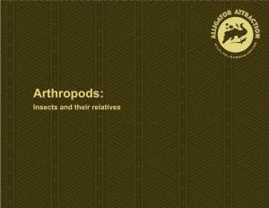 AA Arthropods Fact Sheet.Ai
