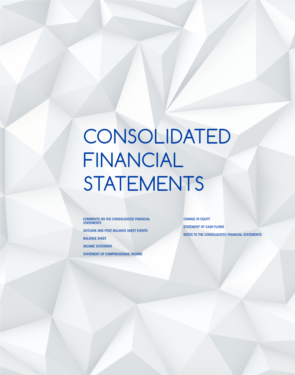 2017 Consolidated Financial Statements