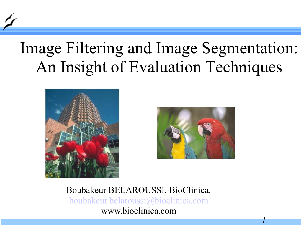 Image Filtering and Image Segmentation: an Insight of Evaluation Techniques