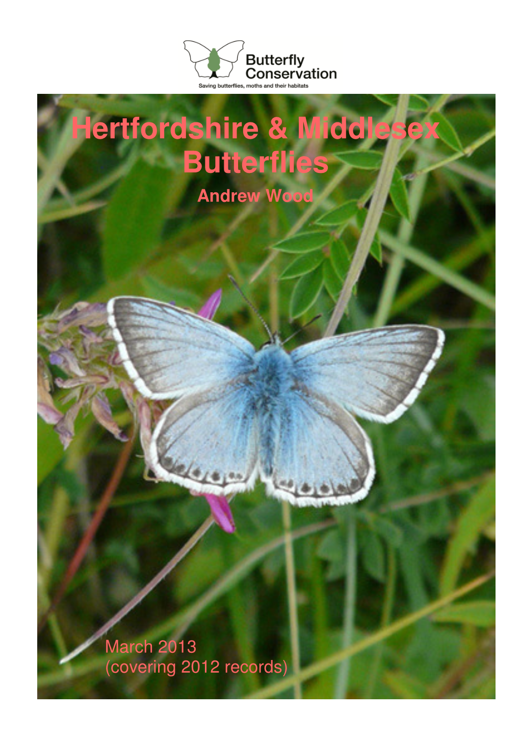 Hertfordshire & Middlesex Butterflies