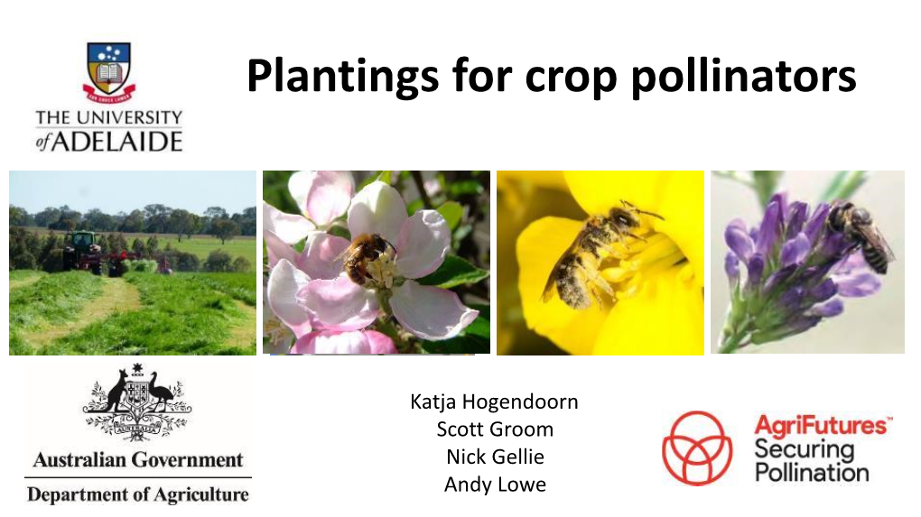 Plantings for Crop Pollinators