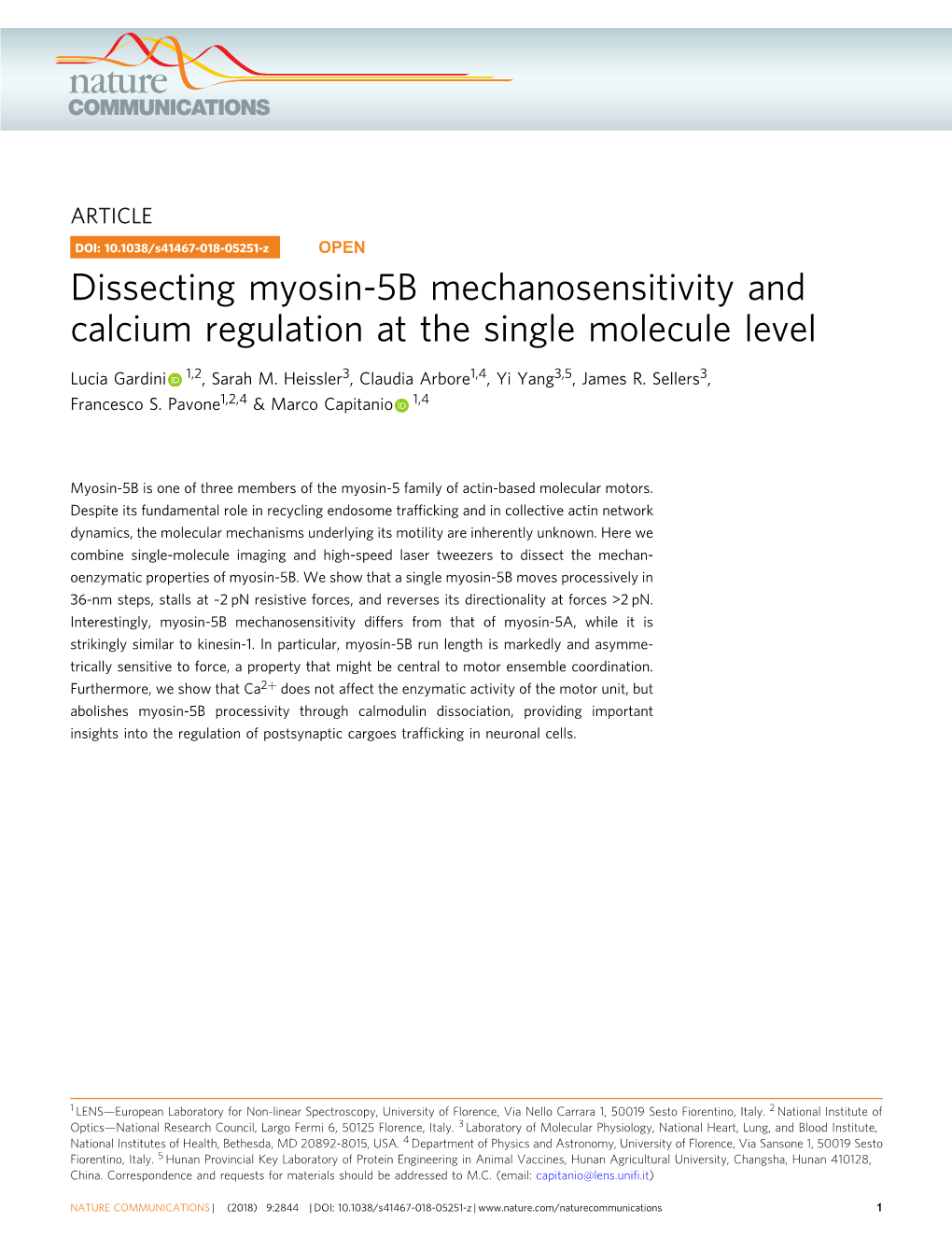 Dissecting Myosin-5B Mechanosensitivity and Calcium Regulation at the Single Molecule Level