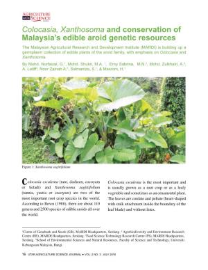Colocasia, Xanthosoma and Conservation of Malaysia's Edible