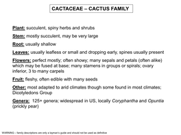 Cactaceae – Cactus Family