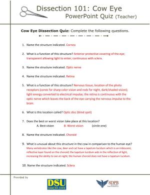 Cow Eye Powerpoint Quiz (Teacher)