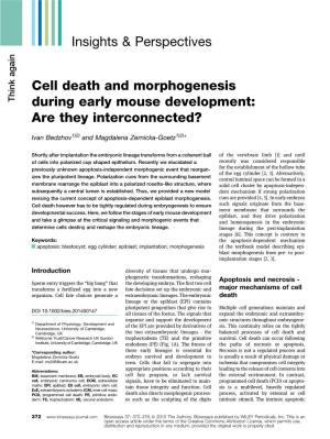 Cell Death and Morphogenesis During Early Mouse