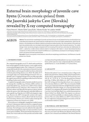 External Brain Morphology of Juvenile Cave Hyena