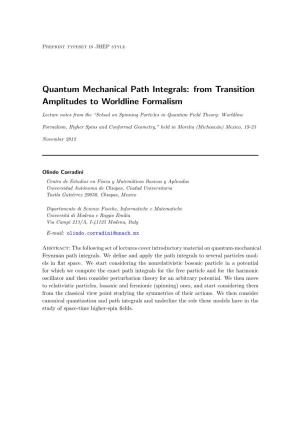 Quantum Mechanical Path Integrals: from Transition Amplitudes to Worldline Formalism