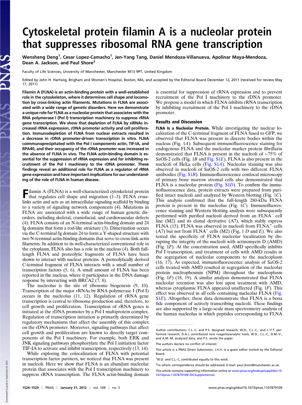 Cytoskeletal Protein Filamin a Is a Nucleolar Protein That Suppresses