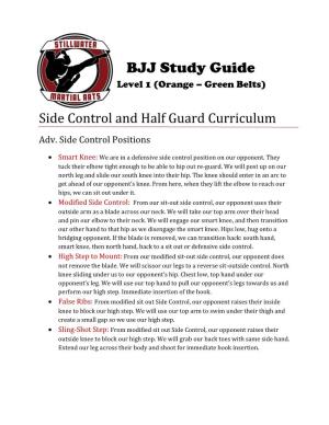 BJJ Study Guide Level 1 (Orange – Green Belts)