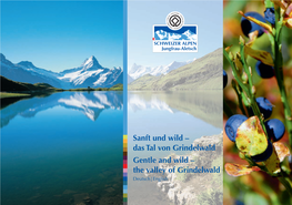 Das Tal Von Grindelwald Gentle and Wild – the Valley of Grindelwald Deutsch | English 1 2