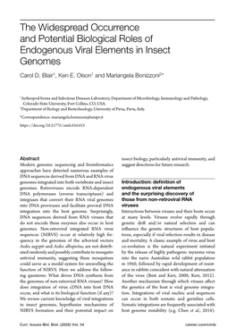 The Widespread Occurrence and Potential Biological Roles of Endogenous Viral Elements in Insect Genomes