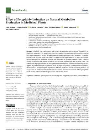 Effect of Polyploidy Induction on Natural Metabolite Production in Medicinal Plants