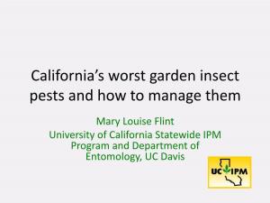 California's Worst Garden Insect Pests and How to Manage Them