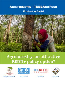 Agroforestry: an Attractive REDD+ Policy Option?