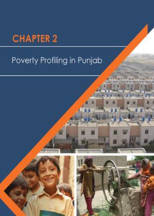 Chapter 2: Poverty Profilling in Punjab