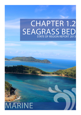 Chapter 1.2 Seagrass Bed Marine