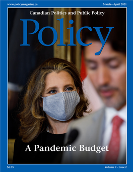A Pandemic Budget