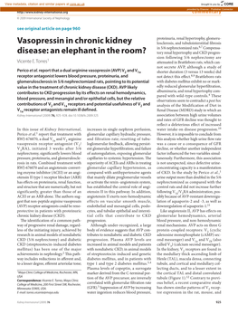 Vasopressin in Chronic Kidney Disease: an Elephant in the Room?