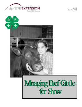 Managing Beef Cattle for Show