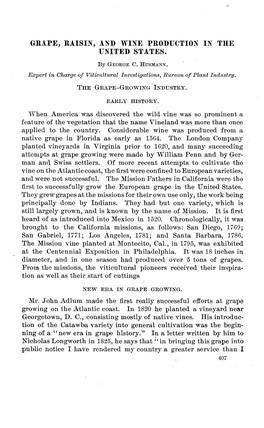 Orape, Raisin, and Wine Production in the United States