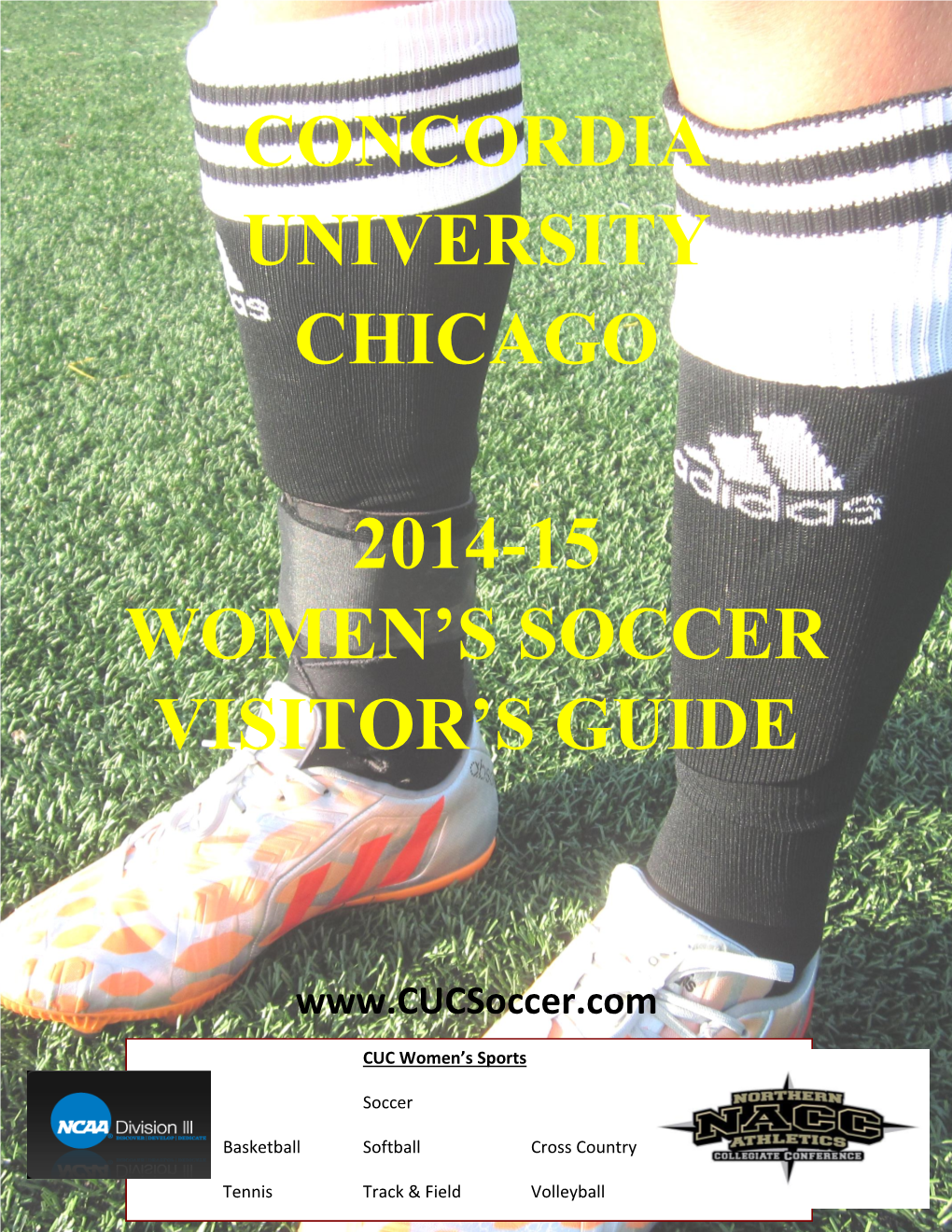 Concordia University Chicago 2014-15 Women's Soccer