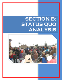 Section B: Status Quo Analysis