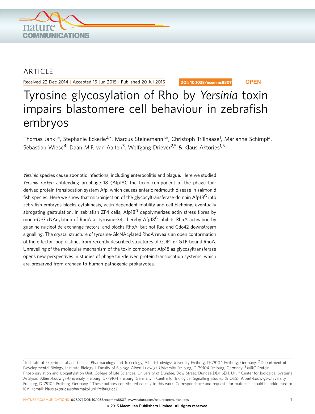 Yersinia Toxin Impairs Blastomere Cell Behaviour in Zebraﬁsh Embryos