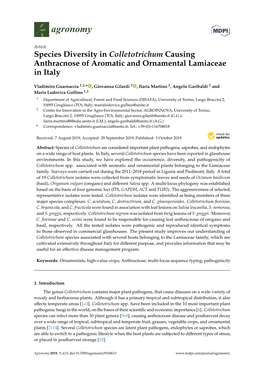 Species Diversity in Colletotrichum Causing Anthracnose of Aromatic and Ornamental Lamiaceae in Italy